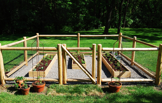 Installation of vegetable garden and fence